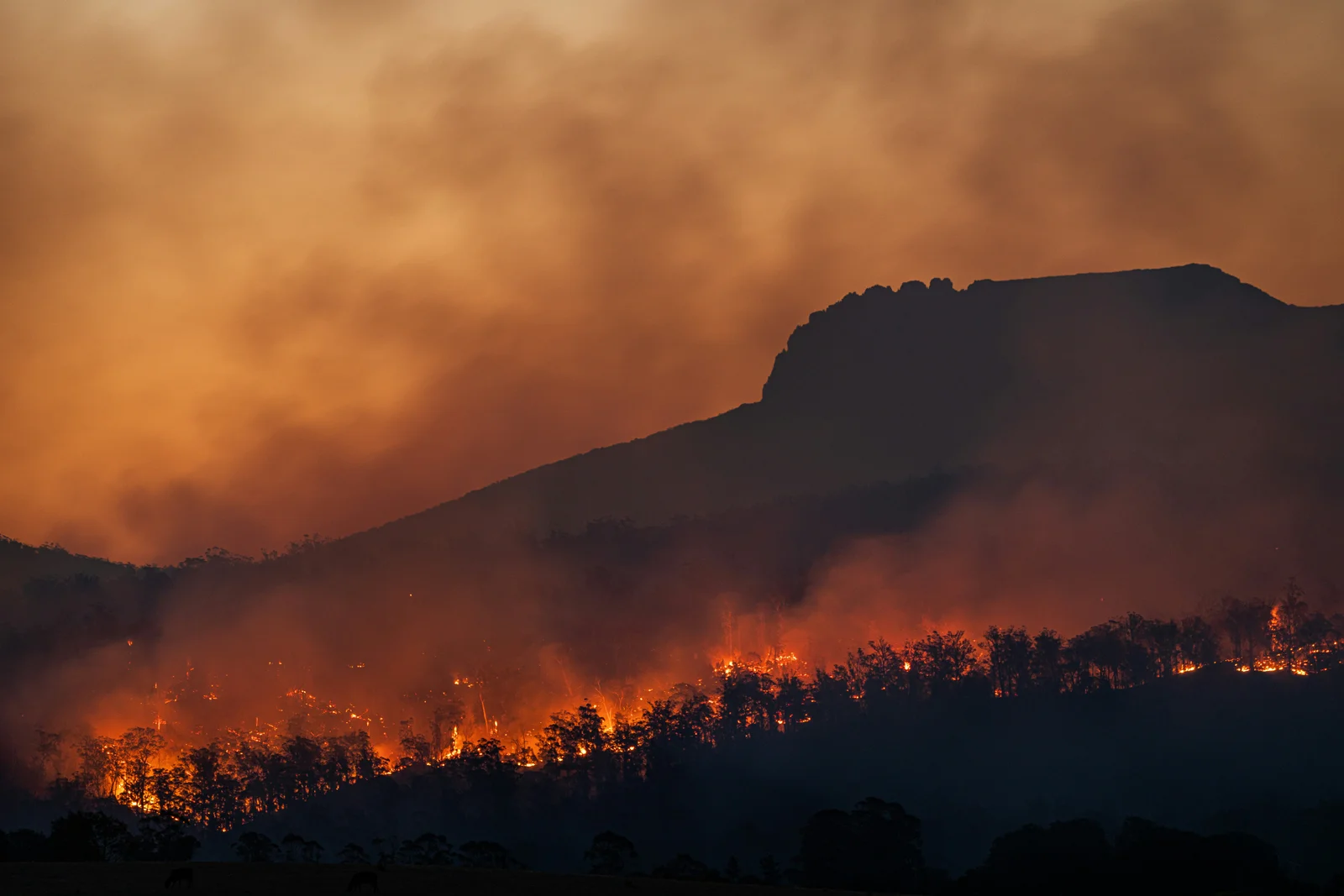 Changing Perspectives on Climate Change